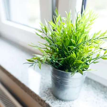 Allure Nautica شقة شتشيتسين